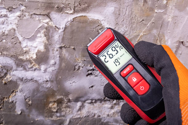 Trusted Eldersburg, MD Mold Removal Experts