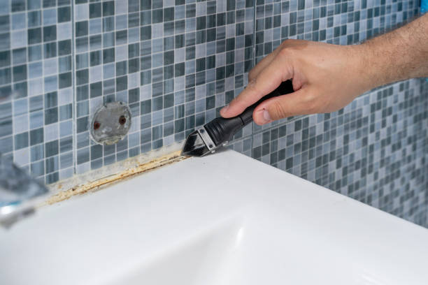 Best Mold Testing  in Eldersburg, MD